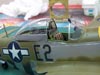 Mustang P-51D [model bulit by Witold Kozakiewicz]