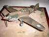 P-40 Tomahawk [model bulit by Grzegorz Nowakowski]